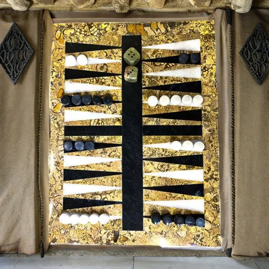 Black and White Backgammon Pieces - 11"x15" with Coral Border
