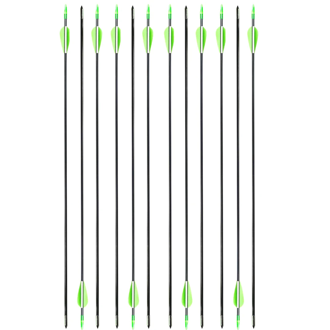 Bow and Arrow Set