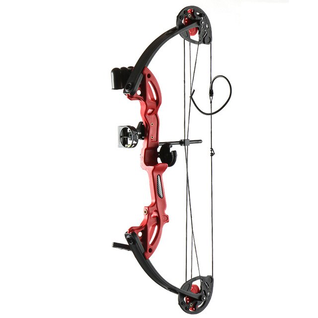 Sport Archery Youth Compound Bow