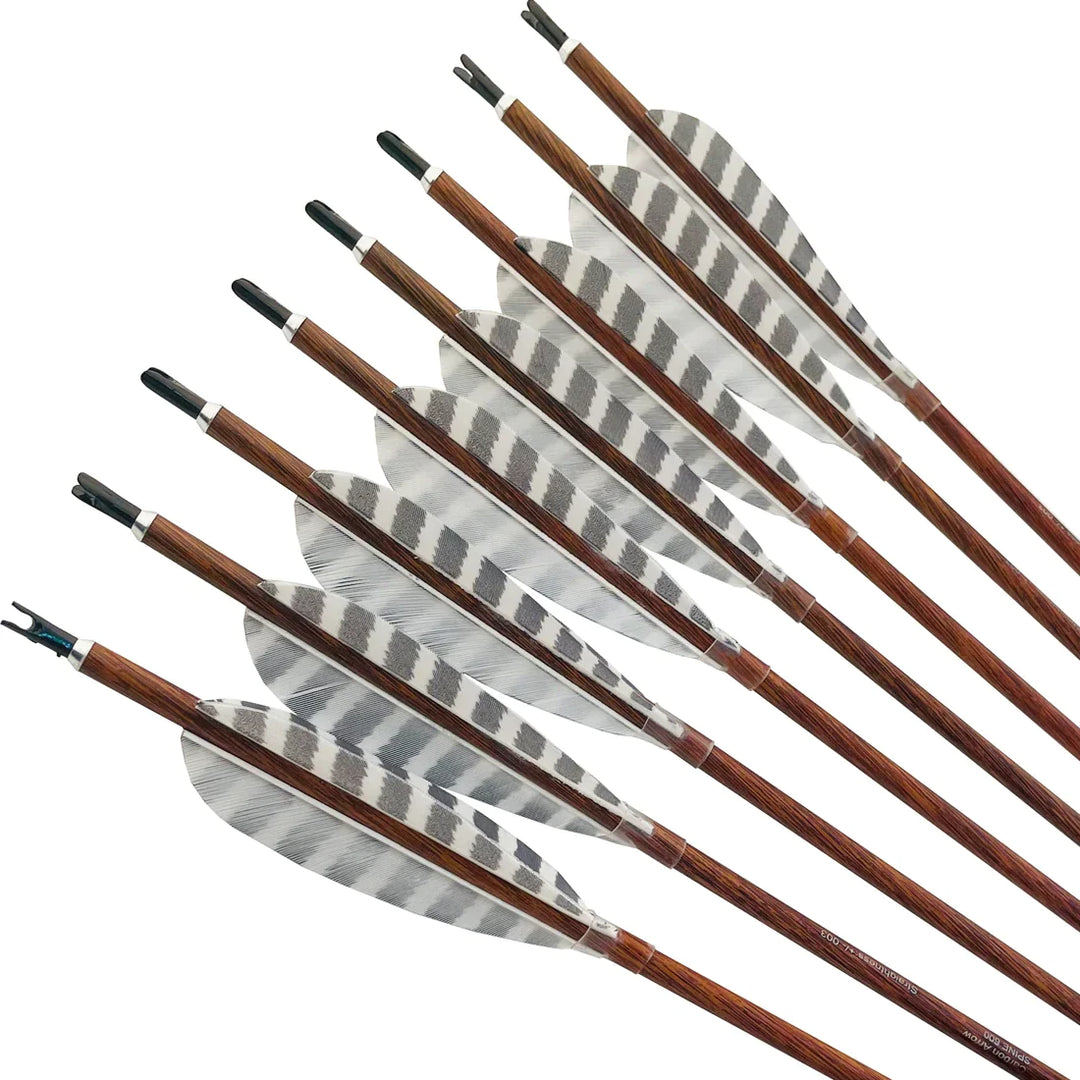 6 pcs Pure Carbon Arrows Spine 300-900