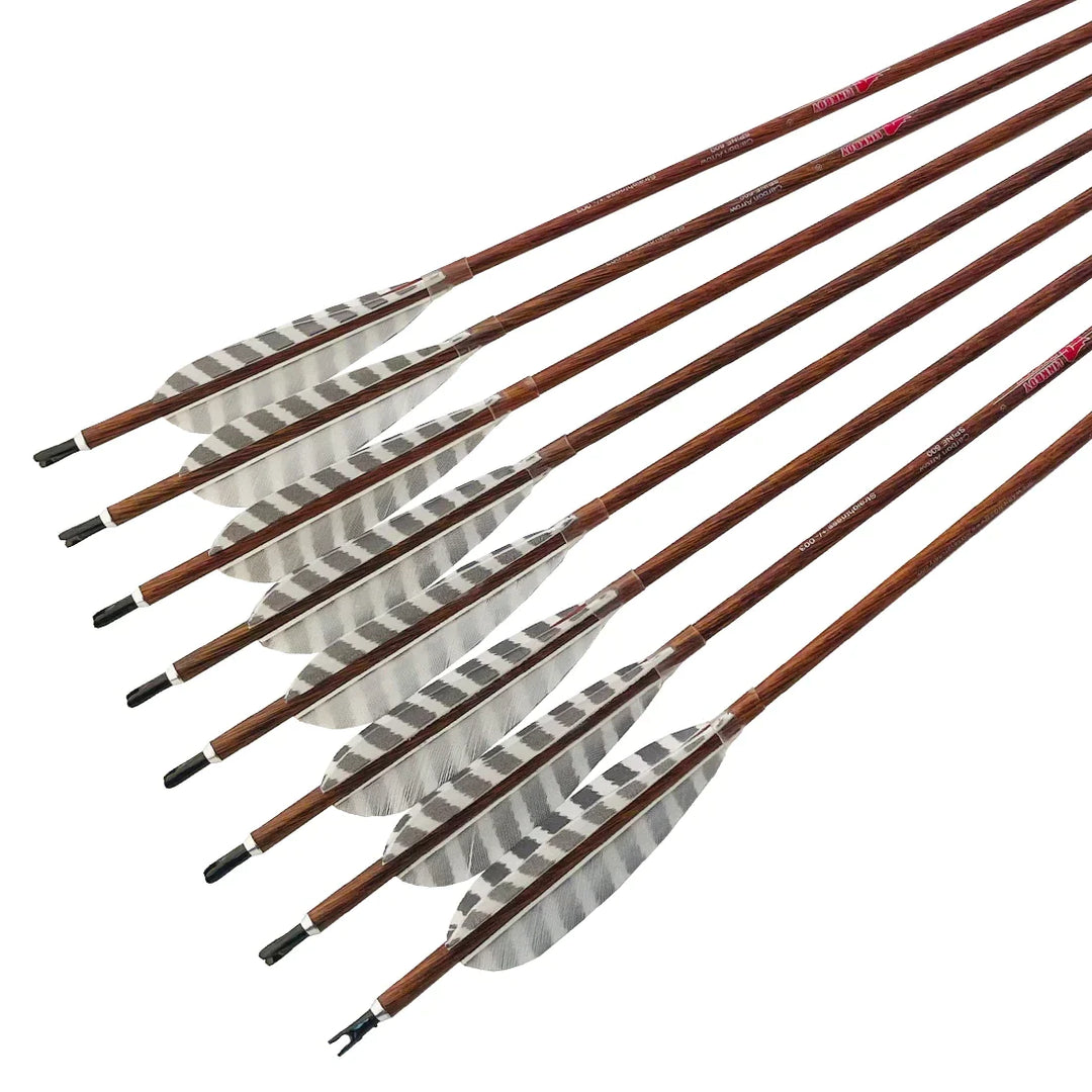 6 pcs Pure Carbon Arrows Spine 300-900