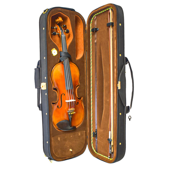 Professional Violin - Crafted from Aged Solid Spruce and Flame Maple for Unrivaled Elegance