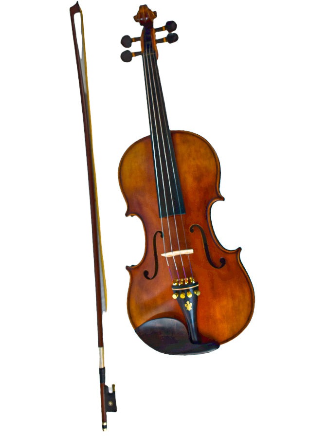 Professional Violin - Crafted from Aged Solid Spruce and Flame Maple for Unrivaled Elegance