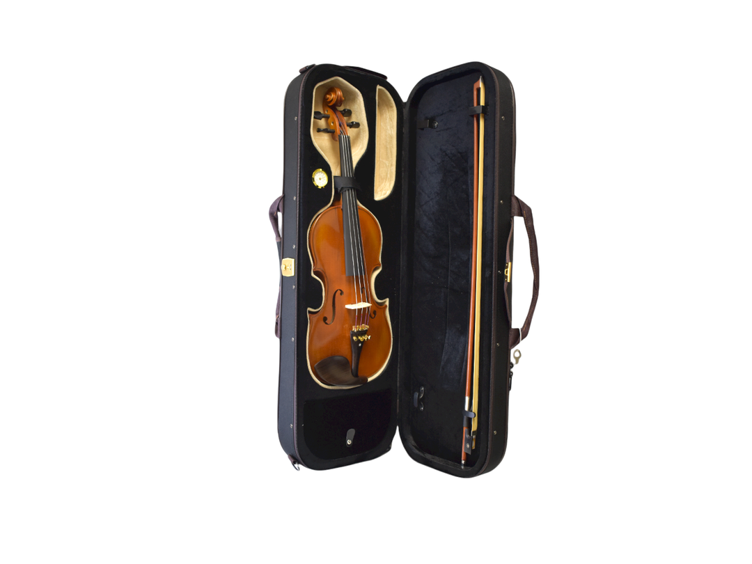 Intermediate Violin - Crafted from Solid Spruce and Flame Maple - High Grade