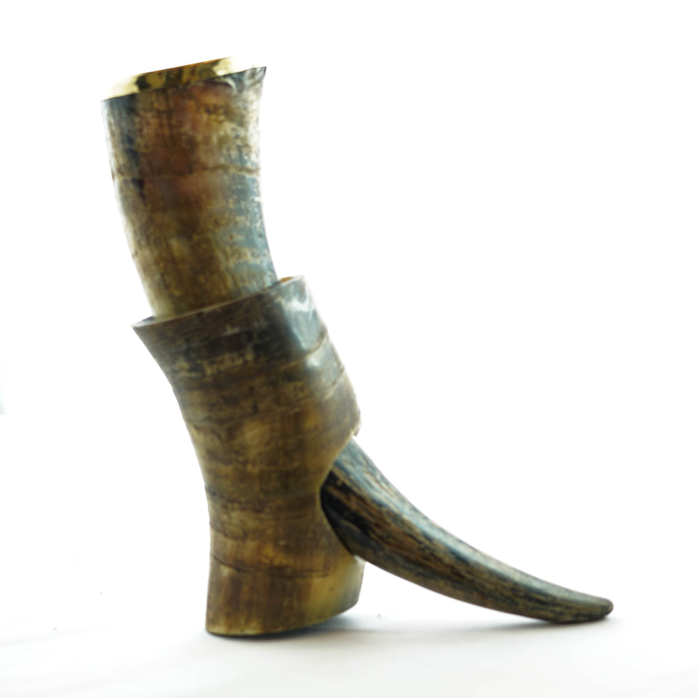 Viking Drinking Horn - Large, 16 Fl Oz - Horn Stand - Crafted from Buffalo Horn